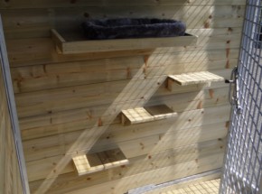 Cat climbing boards and lying  platform - impregnated spruce wood