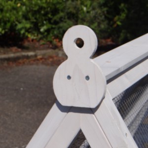 Chicken coop Pip