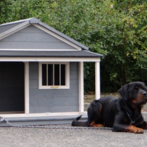 dog house Wooff with veranda gives extra shelter