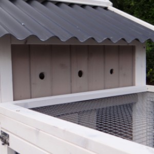 The side of rabbit hutch Joas is provided with ventilation gaps