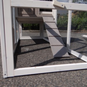 Have a look in the run of rabbit hutch Joas