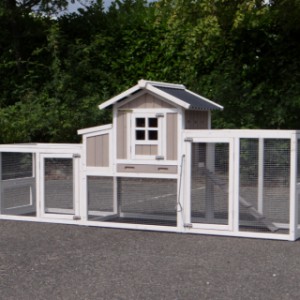 Chicken coop Joas for chickens