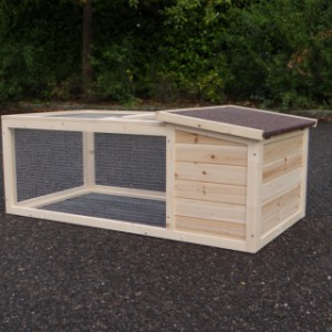 Have a look on the backside of rabbit hutch Lily