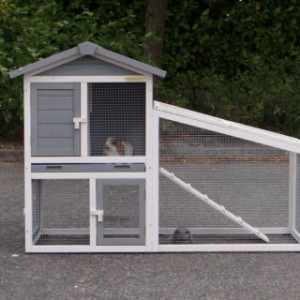 A beautiful rabbit hutch Cato for a good price!