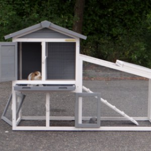 The rabbit hutch Cato is suitable for 1 little rabbit