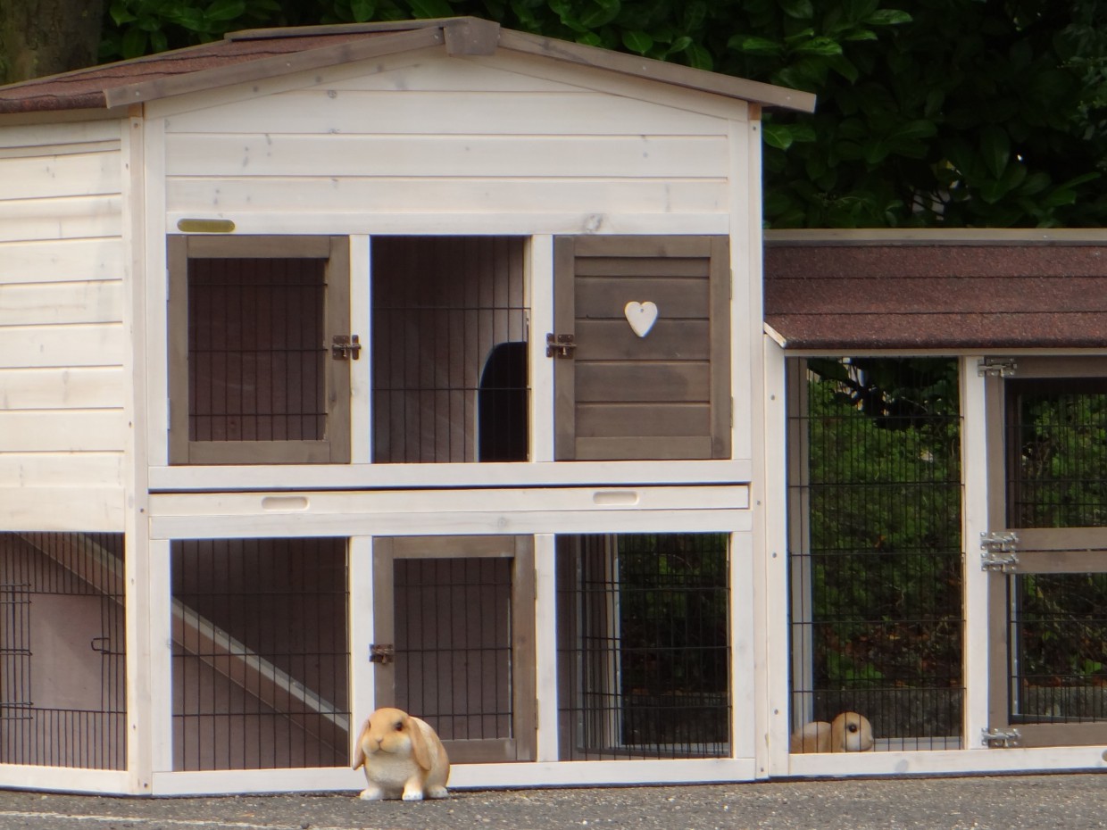 Plexiglas insulationset for rabbit house Rosanne