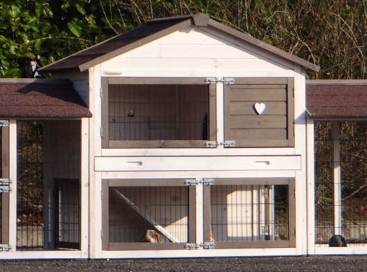 Plexiglass insulation kit · for rabbit hutch Regular Medium with 2 runs