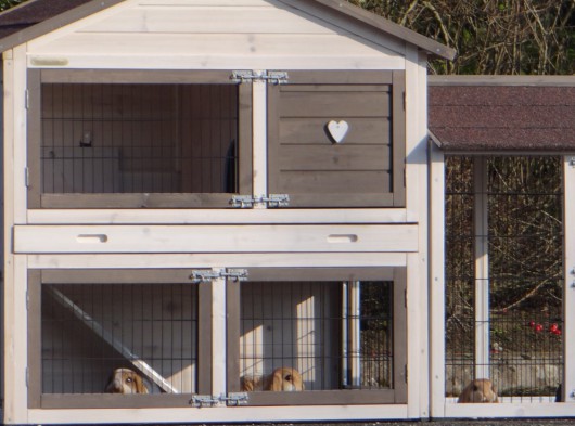 Plexiglass Isolierset · for rabbit hutch Regular Medium with 1 run