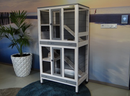 multi level rabbit cage
