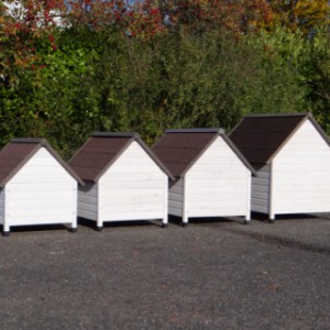 Doghouses Private showing their backside