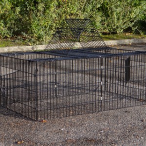 Rabbit enclosure outdoor Maik