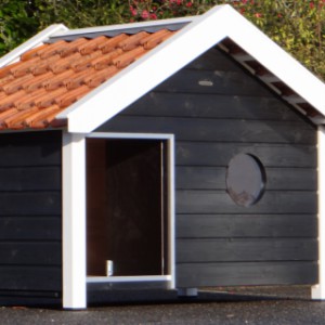 The pig house BINQ is provided with a window