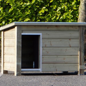 Impregnated doghouse