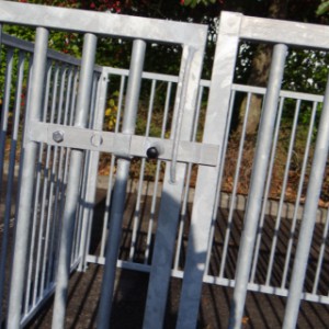 The enclosure is a nice outdoor space for your puppy!