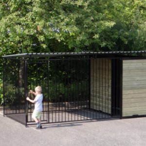 The dimensions of the dog kennel are 4x2m