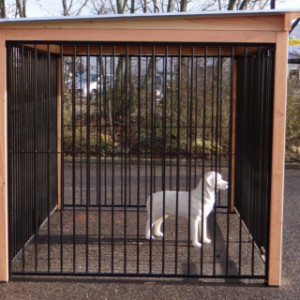 The dog kennel is provided with a roof Extra