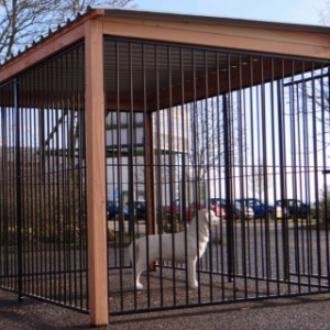 The ground dimensions of the dog kennel are 318x218cm