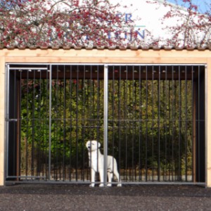 The dog kennel offers a lot of space for your dog