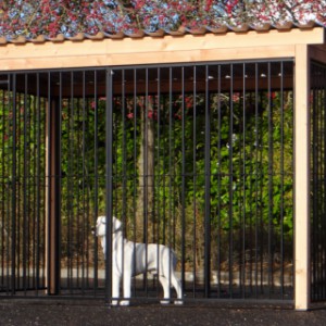 The dog kennel exists of black bar panels