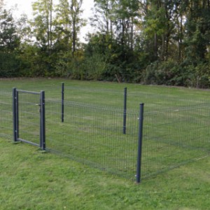 Chicken fence