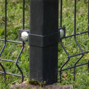 Chicken free-range enclosure poles