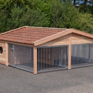 The dog kennel is an acquisition for your yard