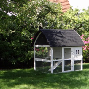 Large chicken coop with run