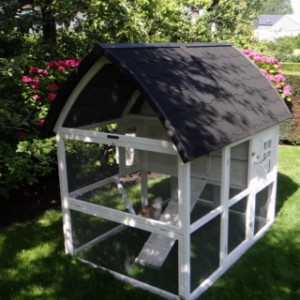 Large chicken coops with run