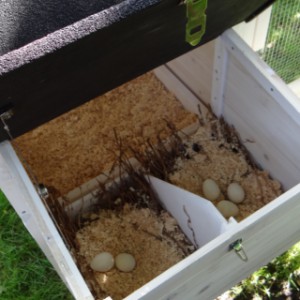It can be used both as laying nest or nesting box