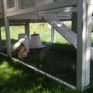 Guinea pig hutch Kathedraal Large has a large run