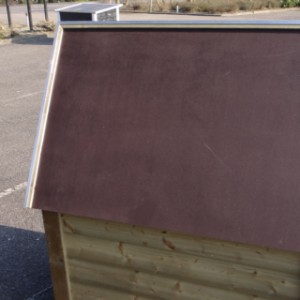 Betonplex roof for doghouse