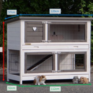 Various dimensions of the guinea pig hutch Adrian