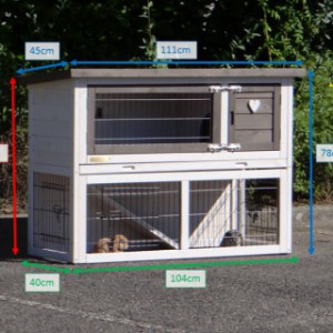 Various dimensions of the guinea pig hutch Marianne