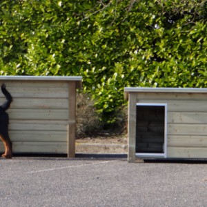 Doghouse with flat roof