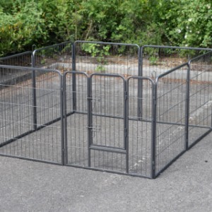 The puppy enclosure as square, height 80cm