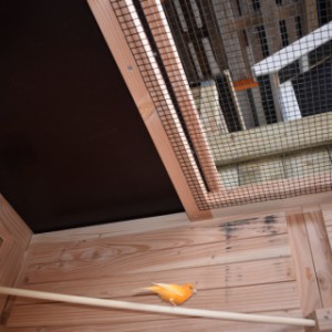 The aviary Flex 4.1+ is provided with 2 perches in the run and 2 perches in the sleeping compartment