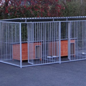Dogkennels for 2 separated dogs