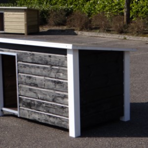 Doghouses in stock