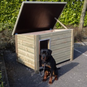 Doghouse for outside