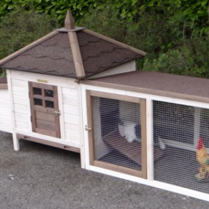 Little chickencoop Ambiance Small for in your backyard