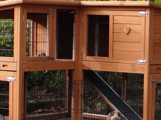 Plexiglass insulation kit · for rabbit hutch Maurice