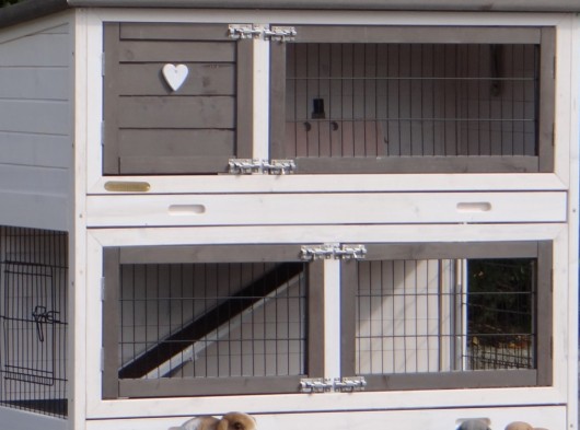 Plexiglass insulation kit · for rabbit hutch Adrian