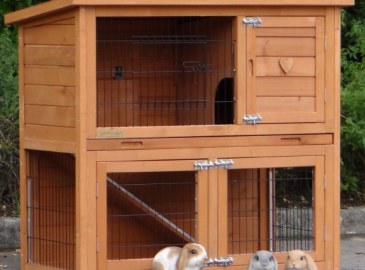 Plexiglass insulation kit · for rabbit hutch Basic