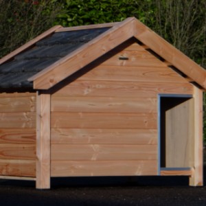 Dog house Snuf is suitable for large dogs, such as a Boxer