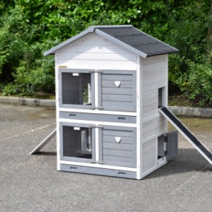 Chickencoop Double Medium White-Grey | Grand chickencoop without run