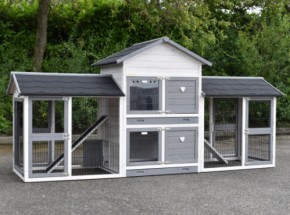 Guinea pig Double Medium with 2 runs · 298x90x143cm