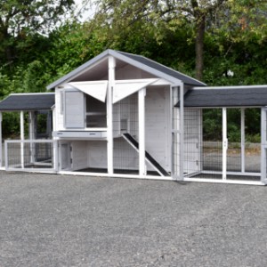 Chickencoop Holiday Medium White-Grey Double | with many doors