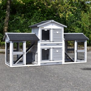 Chickencoop Double Small with 2 runs 239x72x121cm