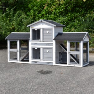 The guinea pig hutch Double Small is extended with 2 runs