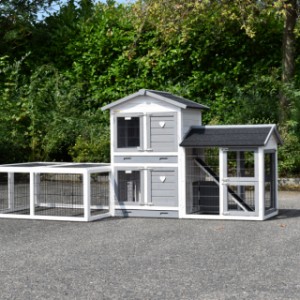 The guinea pig hutch Double Small is extended with 2 runs